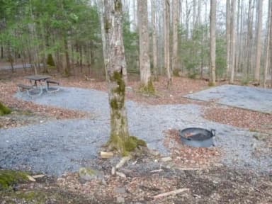 B-Loop · Site B80 at Cosby Campground