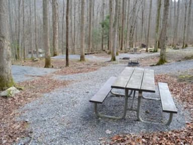 B-Loop · Site B80 at Cosby Campground