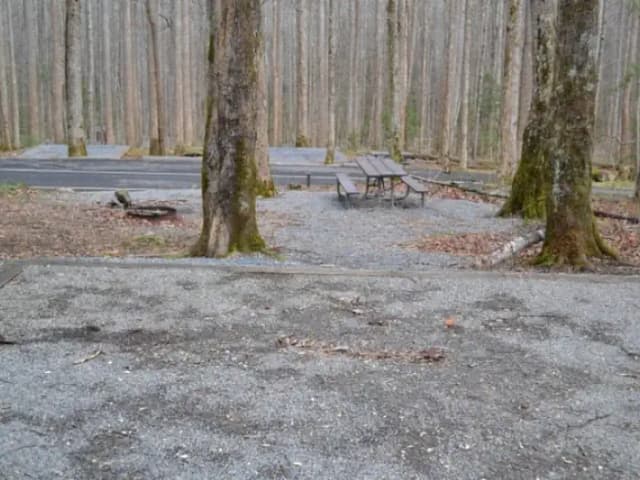 B-Loop · Site B81 at Cosby Campground