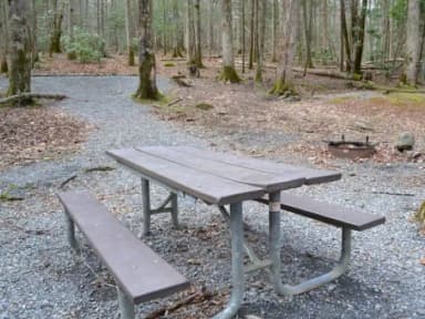 B-Loop · Site B81 at Cosby Campground
