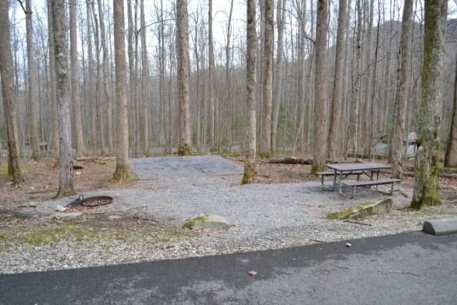 B-Loop · Site B82 at Cosby Campground