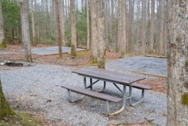 B-Loop · Site B82 at Cosby Campground