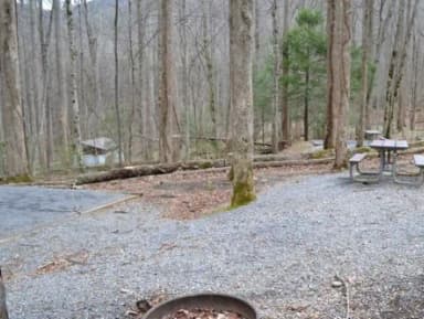 B-Loop · Site B82 at Cosby Campground