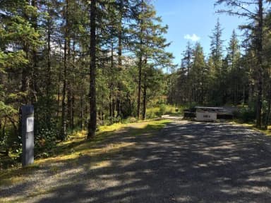 Site 006 at Mendenhall Campground