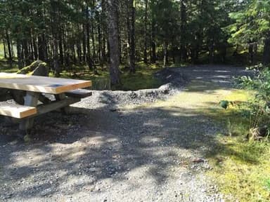 Site 007 at Mendenhall Campground