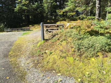 Site 009 at Mendenhall Campground