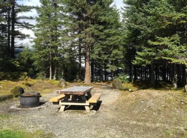 Site 009 at Mendenhall Campground