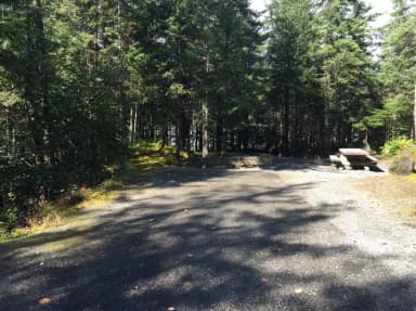 Site 010 at Mendenhall Campground