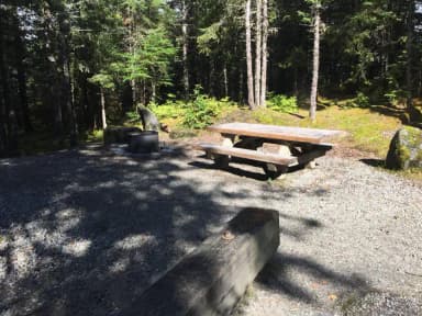 Site 010 at Mendenhall Campground