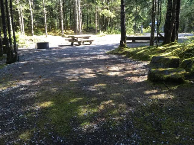 Site 010 at Mendenhall Campground
