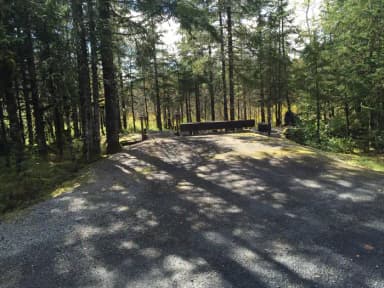 Site 011 at Mendenhall Campground