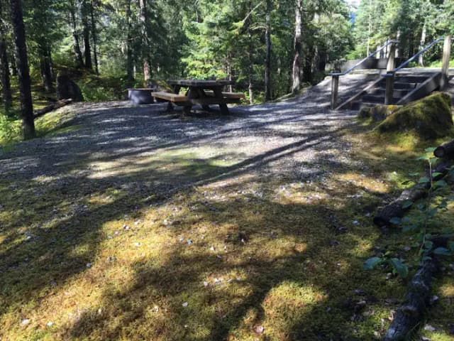 Site 011 at Mendenhall Campground