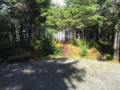 Site 013 at Mendenhall Campground