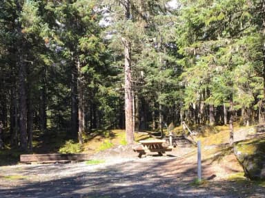 Site 015 at Mendenhall Campground