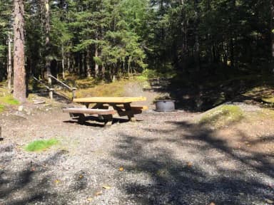 Site 015 at Mendenhall Campground
