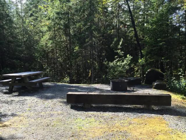 Site 014 at Mendenhall Campground