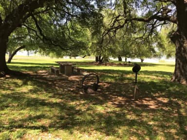 Tent site with picnic table, grill, and fire ring