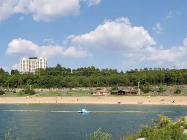 Site Group Shelter (Pavilion) at Moonshine Beach Rec. Area