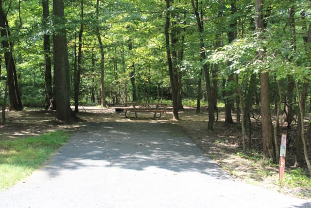 Site A02 at Greenbelt Campground, showing a view of the driveway and picnic table in summer.