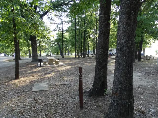 C22
