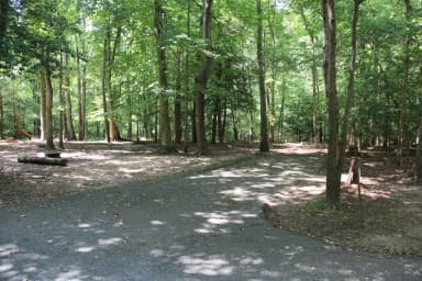 Greenbelt Park campground Site 23