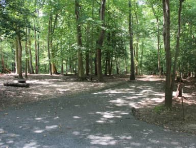 Greenbelt Park campground Site 23