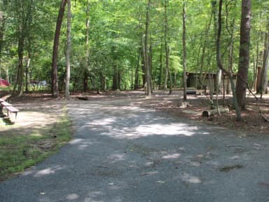 Greenbelt Park campground Site 24