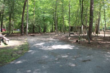 Greenbelt Park campground Site 24