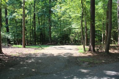 Greenbelt Park campground Site 25