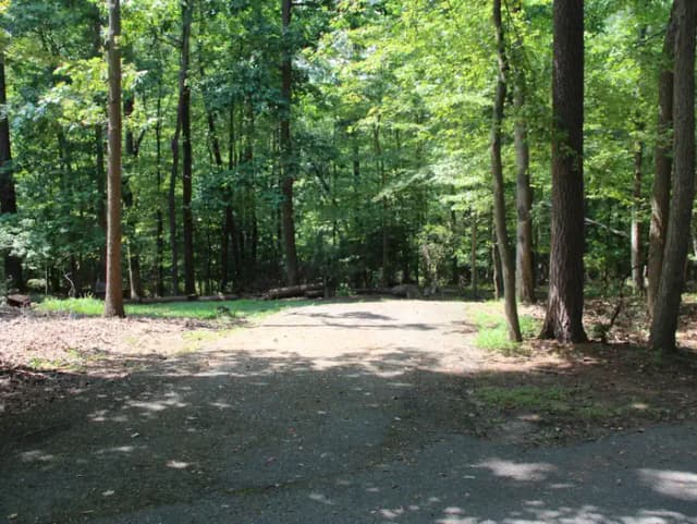 Greenbelt Park campground Site 25