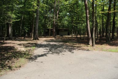 Greenbelt Park campground Site 26