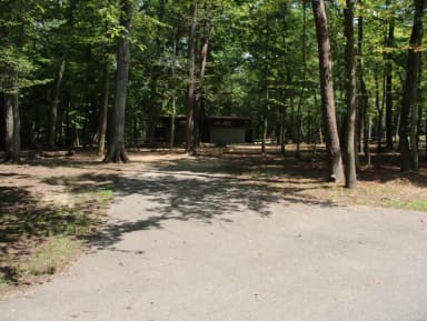 Greenbelt Park campground Site 26
