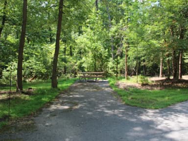 Greenbelt Park campground Site 28