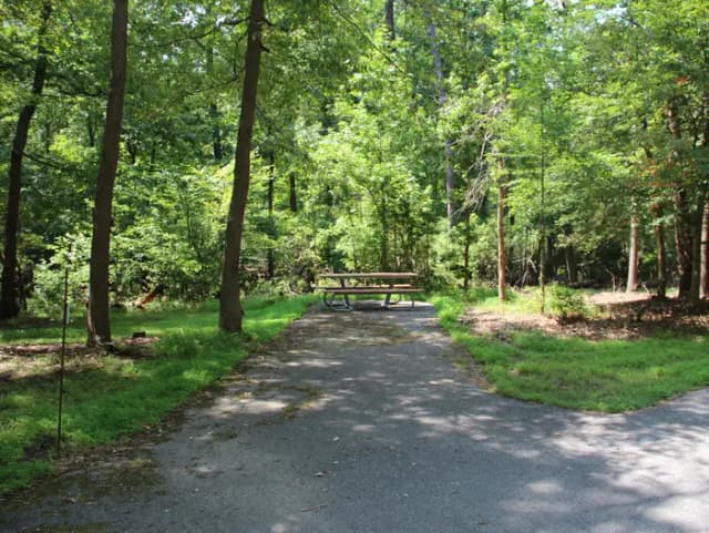 Greenbelt Park campground Site 28
