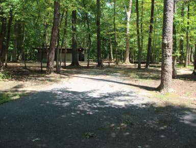 Greenbelt Park campground Site 30