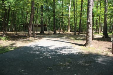 Greenbelt Park campground Site 30