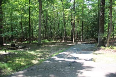 Greenbelt Park campground Site 31