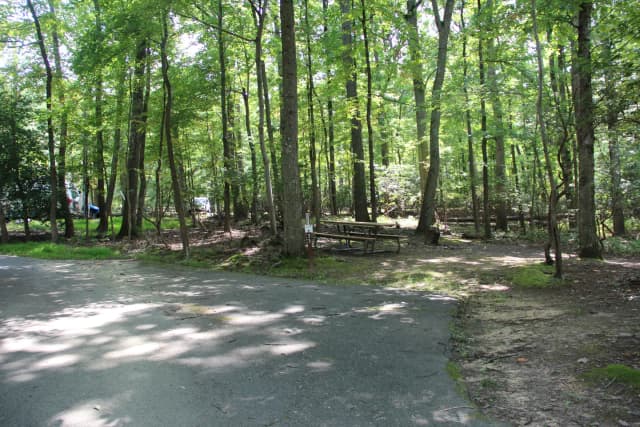 A33  A Loop of the Greenbelt Park Md campground