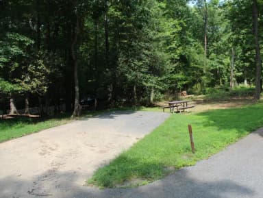 Loop B Site 38  Greenbelt Park campground