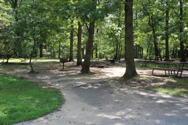 Loop B Site 40 Greenbelt Park Maryland campground