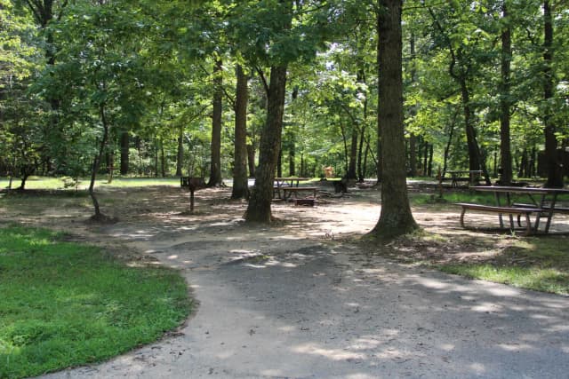 Loop B Site 40 Greenbelt Park Md campground