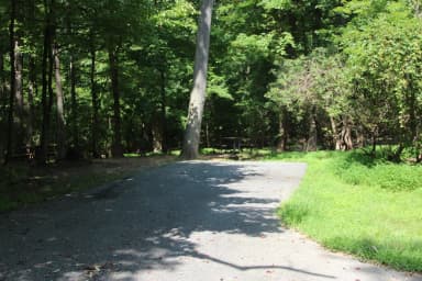 Loop B Site 41 Greenbelt Park Md campground