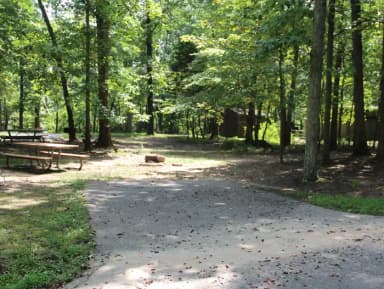 Loop B Site 43 Greenbelt Park Maryland campground (former Site 42)