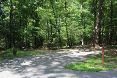 B Loop Site 45 Greenbelt Park Maryland campground