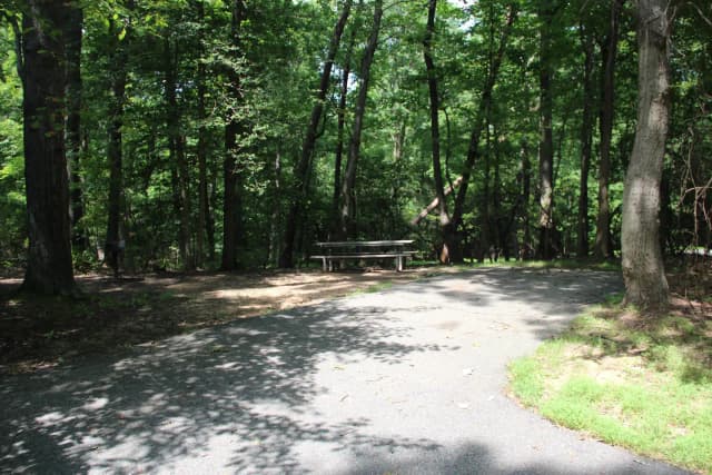 B Loop Site 46 Greenbelt Park Maryland campground (former Site 45)