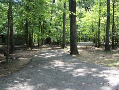 B Loop Site 47 Greenbelt Park Md campground (former Site 46)