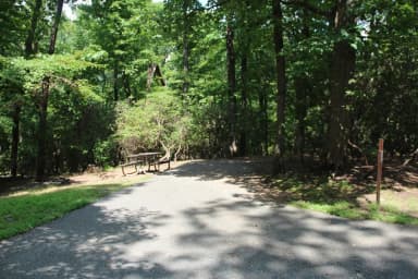 B Loop Site 48 Greenbelt Park Md campground (former Site 47)