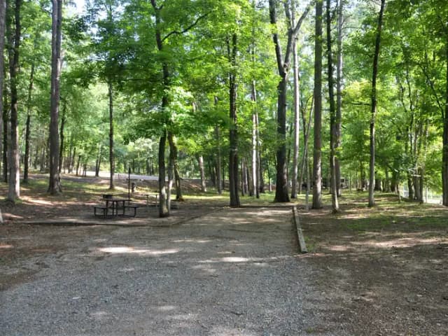 Gillham Lake, Cossatot Reefs Site #17