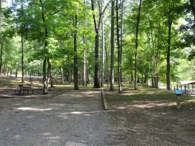 Gillham Lake, Cossatot Reefs Site #17