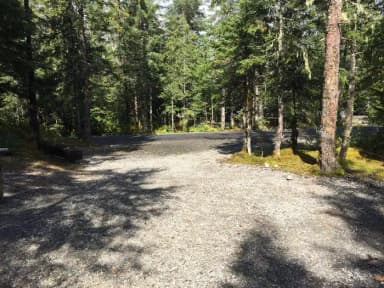 Site 018 at Mendenhall Campground
